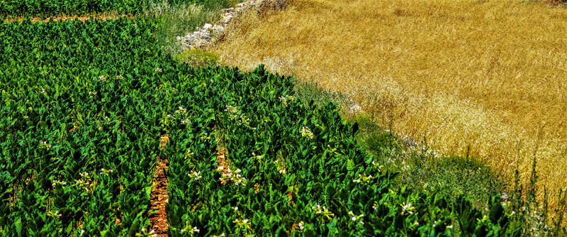 Espaco Verde